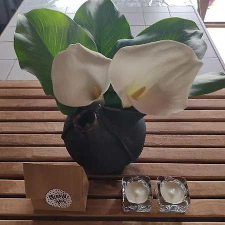 Un Rincon En La Morana