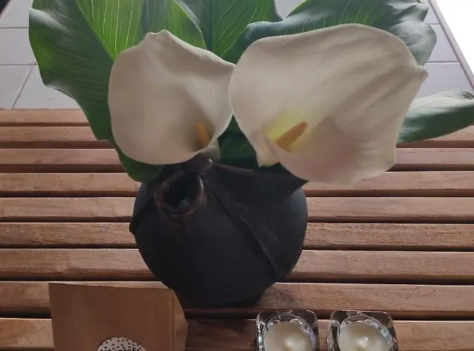 Un Rincon En La Morana